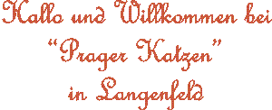 Willkommen